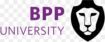 Partner University 4
