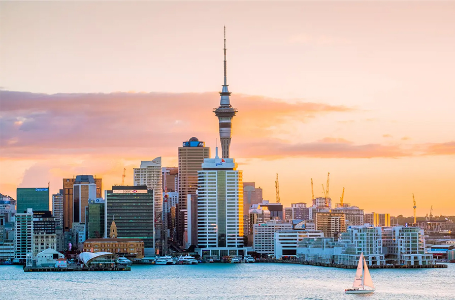Study in New Zealand